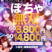ぽちゃ無双|ぽっちゃり専門店 ぽちゃぽちゃLive