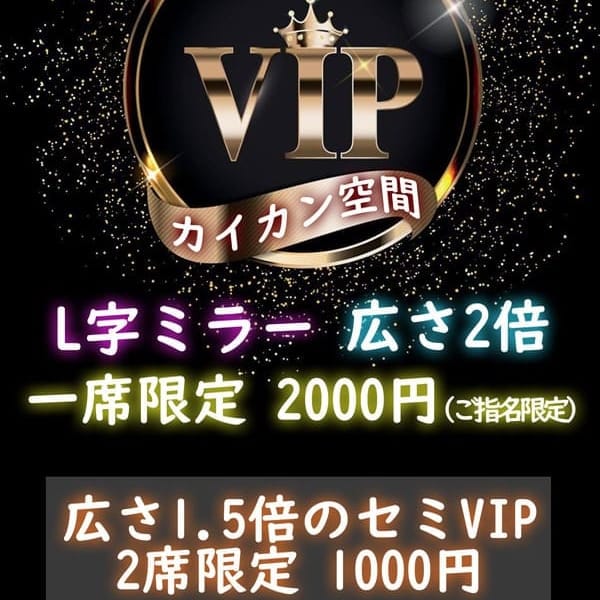 VIPシート