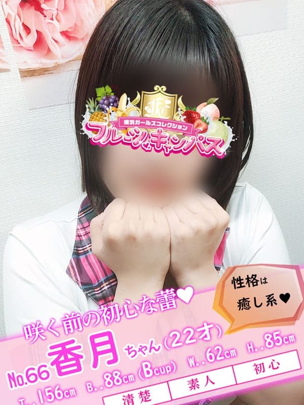 No.66 香月(かづき)【咲く前の初心な蕾♡】