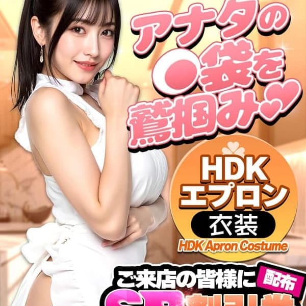 HDKエプロン