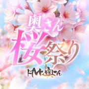 ☆奥さん桜祭り～80分8999円～☆|ドMな奥さんすすきの店