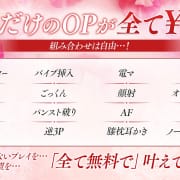 当店は、オプション料金　全て0円！！|熟女総本店 日本橋ミナミエリア店