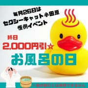 小田原店の26日は「帰ってきたお風呂の日♨」|セクシーキャット 小田原店