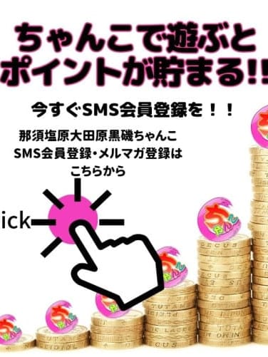 ポイントが貯まる！SMS会員登録
