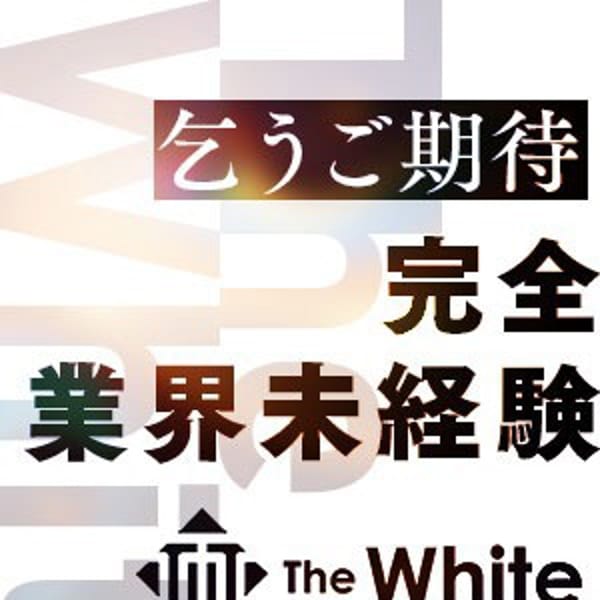 まりな【完全業界未経験×白肌美人現る】 | The White（ザ ホワイト）(福原)