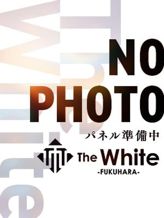 はつね|The White(ザ ホワイト)でおすすめの女の子