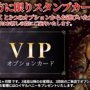本指名様限定・雅㊙カード配布|雅