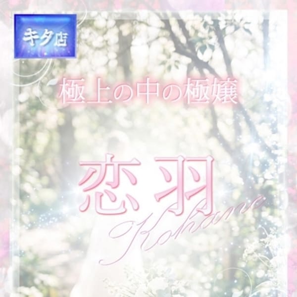 恋羽【コハネ】