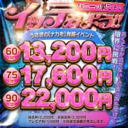 ★最安13,200yen～★バニ果てイベント開催中！|Cutie Bunny