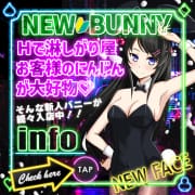 「新人バニー続々入店中★」06/08(月) 22:36 | Cutie Bunnyのお得なニュース