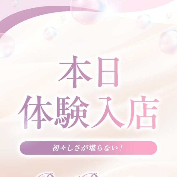 せりな
