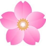 ✿✿ イベント情報 ✿✿|一夜の華