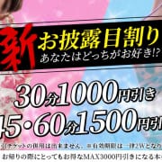 新お披露目割り写真指名のお客様ご使用可）|百花繚乱