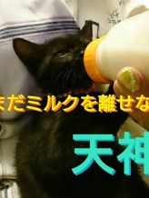 プレシャスタイム|岐阜Loveタッチでおすすめの女の子