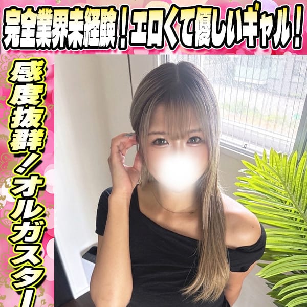 せしる