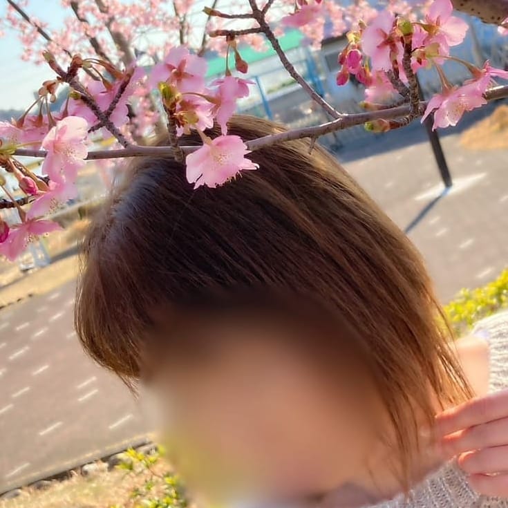 稲葉　ひかる