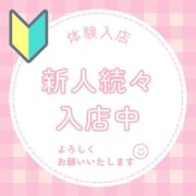 新人続々入店中！ |シンデレラ