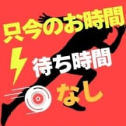 只今待ち時間ナシでご案内可能です！ |シンデレラ