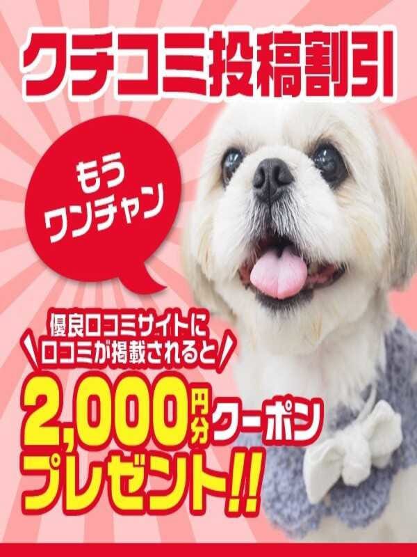 口コミ割引2000円ポイント！