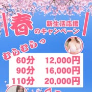春の大感謝祭|艶妻 船橋店