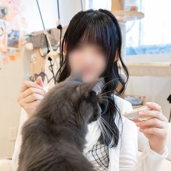 ヤングプラザ