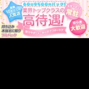 CAST大募集中◎◎働く女性をしっかりとサポート致します！|～Alice～