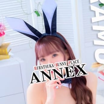 ANNEX