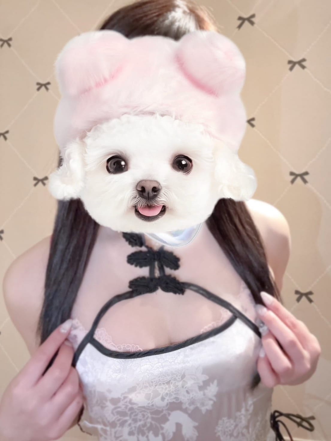 コハク