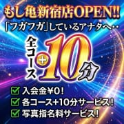 オープニングイベント|もしもし亀よ亀さんよ 新宿店