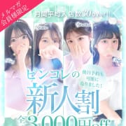 「★★★未経験の潮吹き、淫乱、美少女多数在籍★★★」10/28(火) 03:45 | ピンクコレクション大阪店のお得なニュース