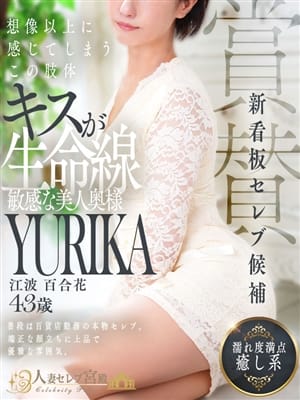 江波 百合花