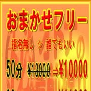 おまかせフリー【￥１００００ﾎﾟｯｷﾘ】で遊ぼう♪|オトナのマル秘最前線!!