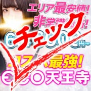 ◆✨◆✨要チエック！！◆天王寺は隠された秘宝の集まり✨✨◆可愛すぎて絶対納得！！✨✨◆✨✨✨✨✨✨✨|スピードエコ天王寺店