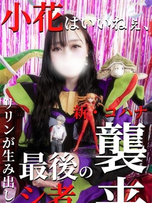 小花【こはな】