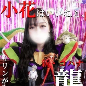 小花【こはな】【黒髪ロングのおっとり超S級美女】 | 丸妻西船橋店(西船橋)