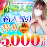 体験入店&新人割引特典 最大5,000円割引!|丸妻西船橋店