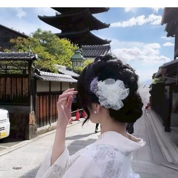 あおい【高山出発】|Cat's高山店