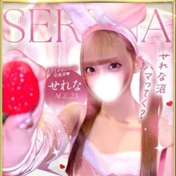 姫コレクション 高崎・前橋店