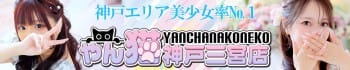 やんちゃな子猫神戸三宮