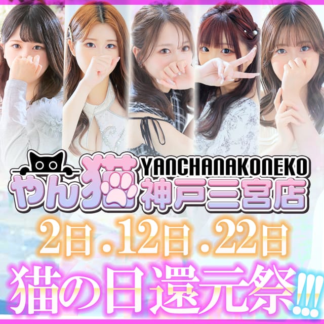 「2の付く日は【猫の日・還元祭】グループ合同開催！」07/12(日) 11:03 | やんちゃな子猫神戸三宮のお得なニュース