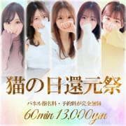 2の付く日はグループ合同イベント【猫の日還元祭】|やんちゃな子猫神戸三宮