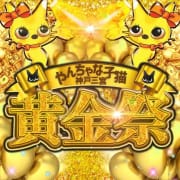 合言葉は【黄金祭】超お得イベント♪|やんちゃな子猫神戸三宮