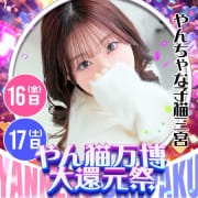 5月のスペシャルイベント【やん猫万博】|やんちゃな子猫神戸三宮