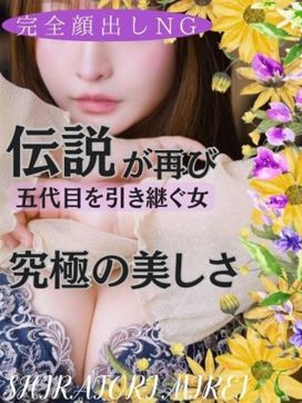 五代目白鳥美玲|神戸FOXYで評判の女の子