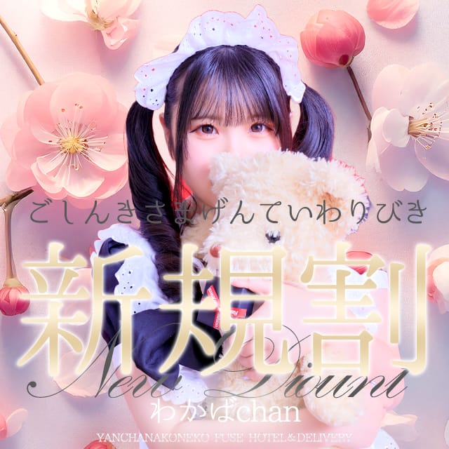 「来店限定『ご新規様割引』 60分10,000円！」01/09(金) 13:02 | やんちゃな子猫 布施店のお得なニュース