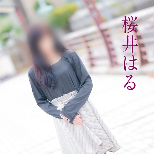 桜井はる | 五十路マダム 博多店(カサブランカグループ)(福岡市・博多)