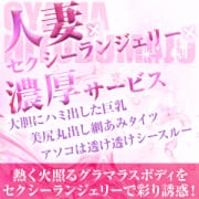 今だけ！セクシーランジェリーが無料！|宇都宮人妻城