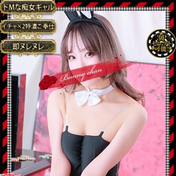 シュガー　ミニマム×ギャル×癒し｜和歌山市近郊 - 和歌山市近郊風俗