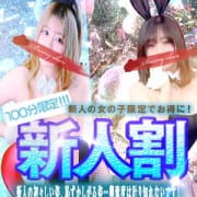 ●新人限定でこんなにもお得に●【新人割】|和歌山ドMなバニーちゃん