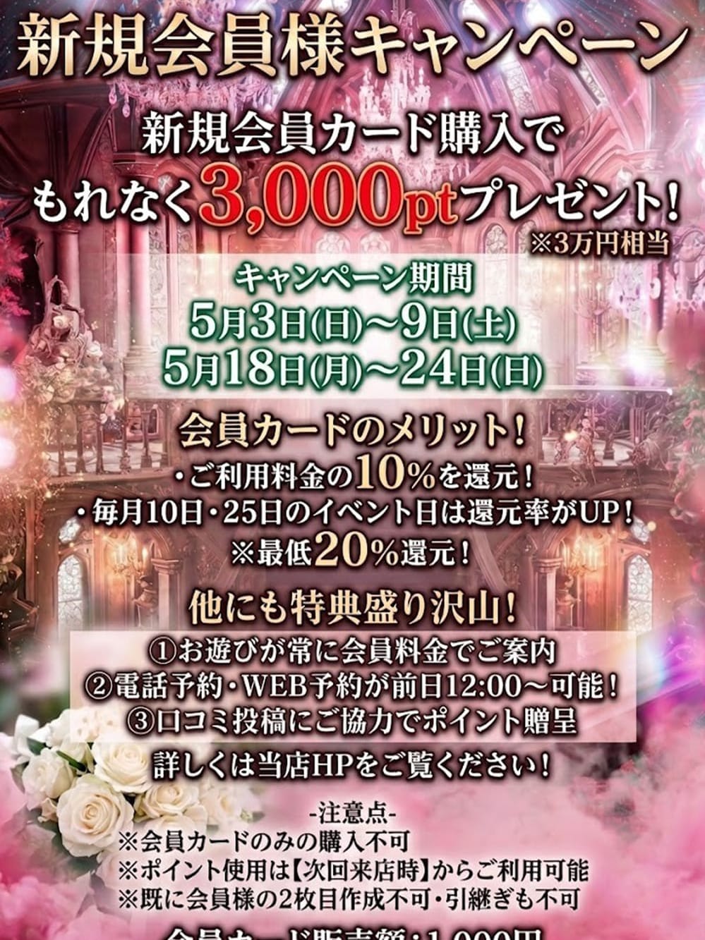 会員カード|BVLGAL（ブルギャル）でおすすめの女の子